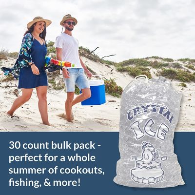 冷蔵庫 プラスチック アイスキューブ プラスチックバッグ カスタマイズ 耐久性 再利用性 商品 10ポンド バッグ