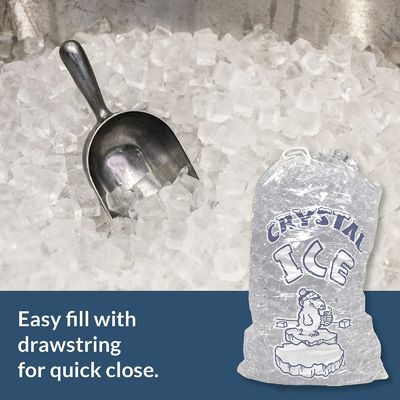 冷蔵庫 プラスチック アイスキューブ プラスチックバッグ カスタマイズ 耐久性 再利用性 商品 10ポンド バッグ